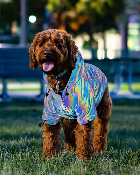 Cochi - Reflective Dog Jacket